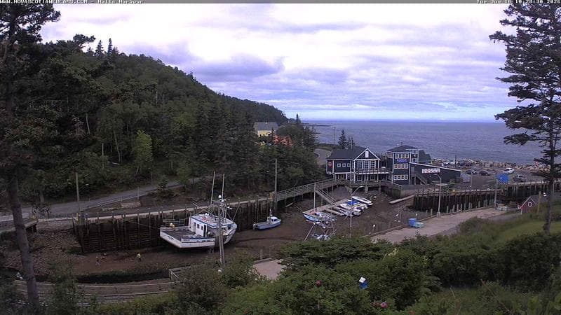 Hall's Harbour