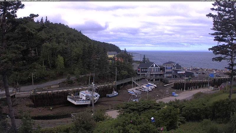 Hall's Harbour