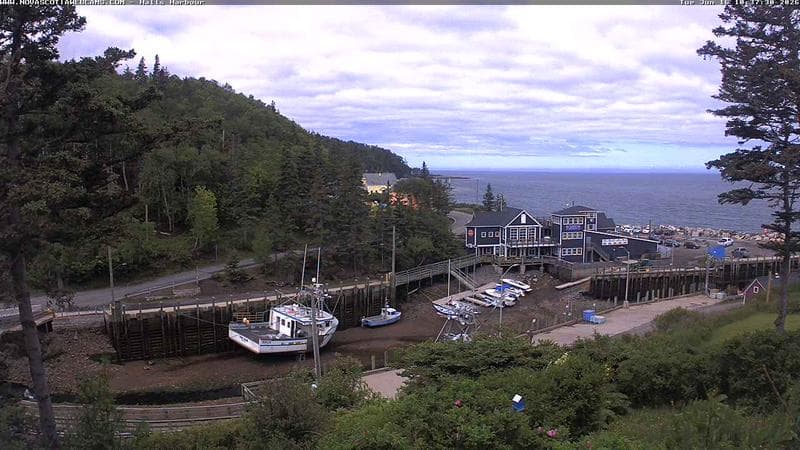Hall's Harbour