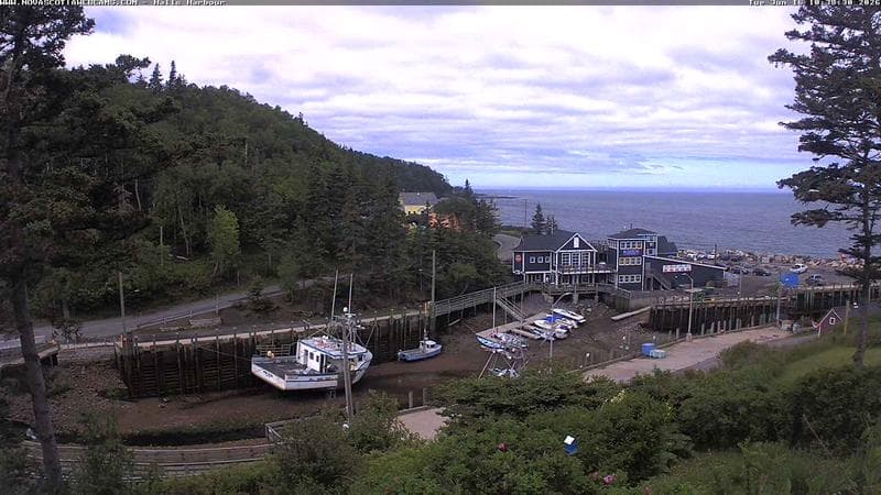 Hall's Harbour