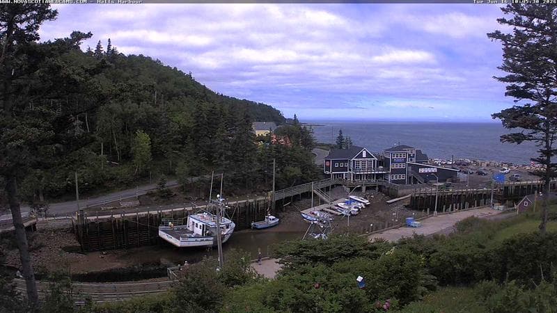 Hall's Harbour