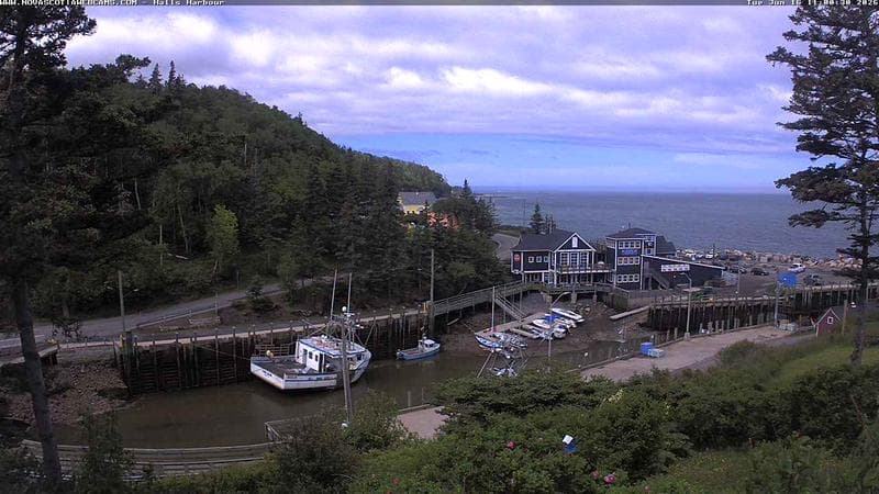 Hall's Harbour