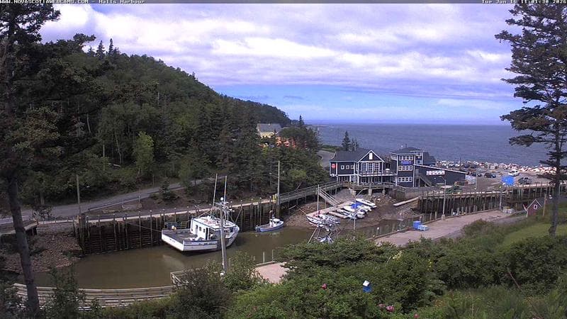 Hall's Harbour
