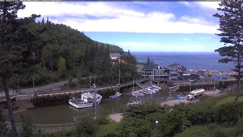 Hall's Harbour