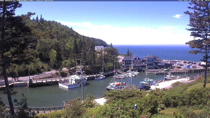 Hall's Harbour