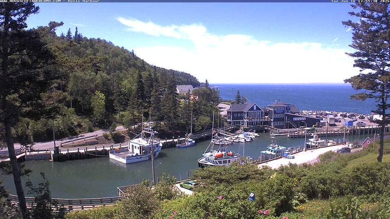Hall's Harbour