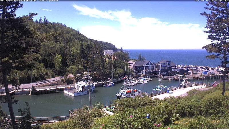 Hall's Harbour