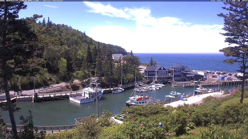 Hall's Harbour