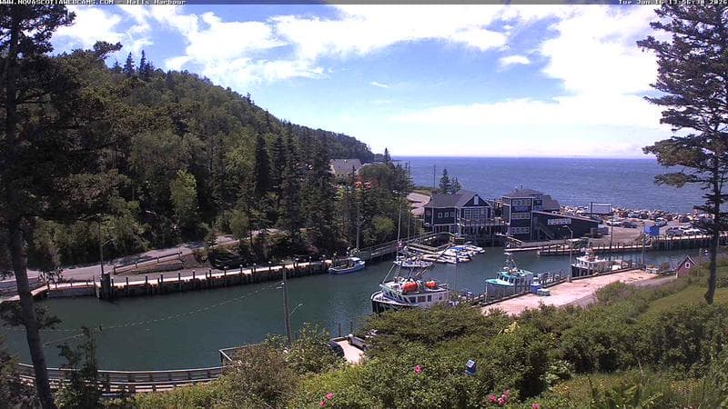 Hall's Harbour