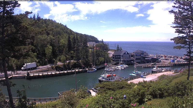 Hall's Harbour