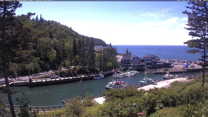 Hall's Harbour