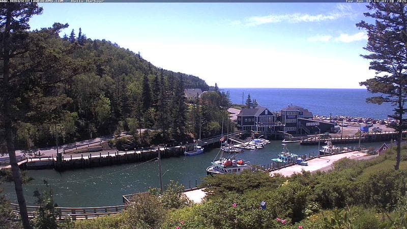 Hall's Harbour