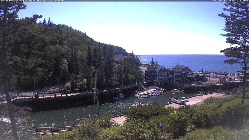 Hall's Harbour