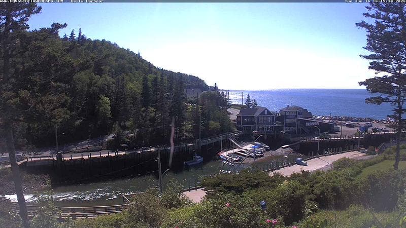 Hall's Harbour