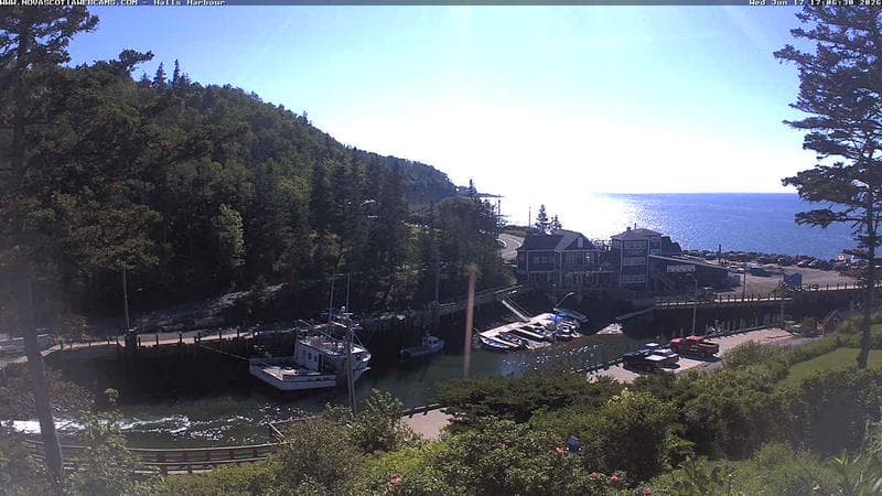 Hall's Harbour
