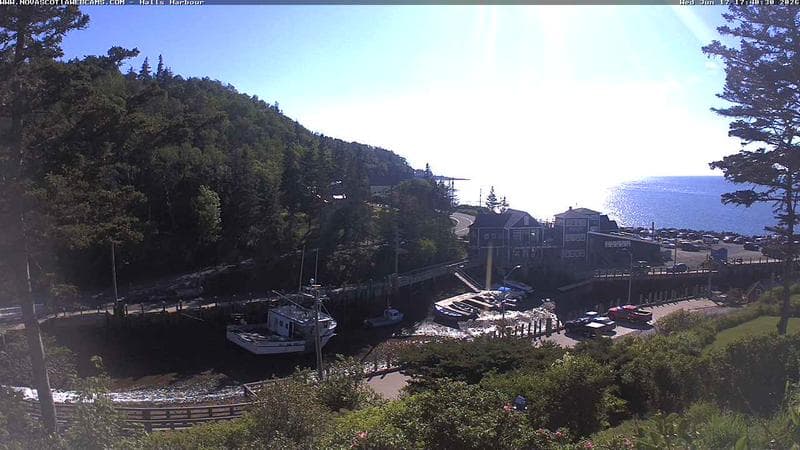 Hall's Harbour