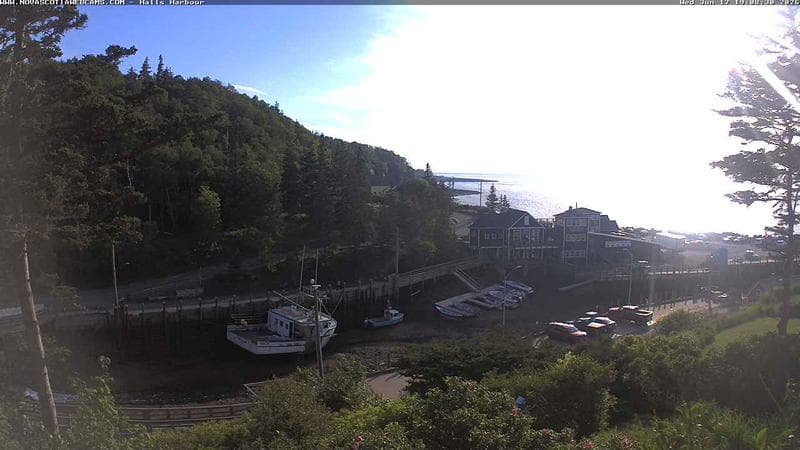 Hall's Harbour