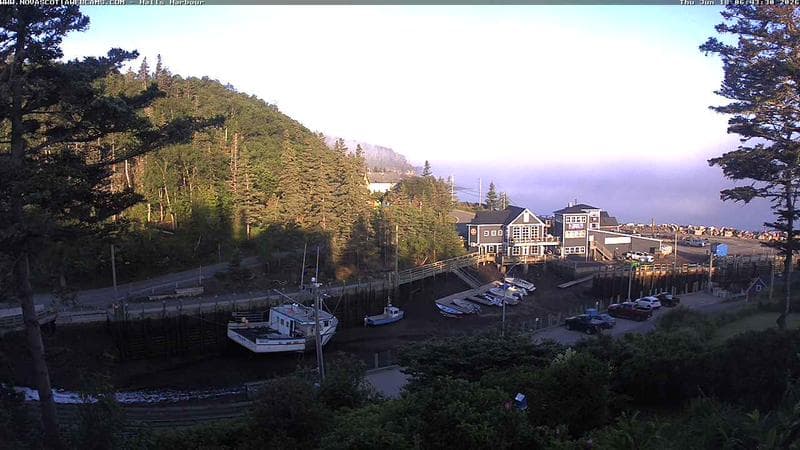 Hall's Harbour
