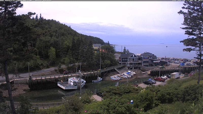 Hall's Harbour