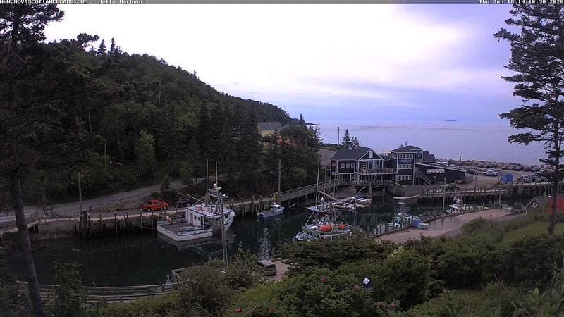Hall's Harbour