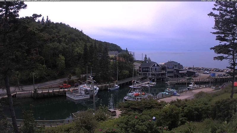 Hall's Harbour