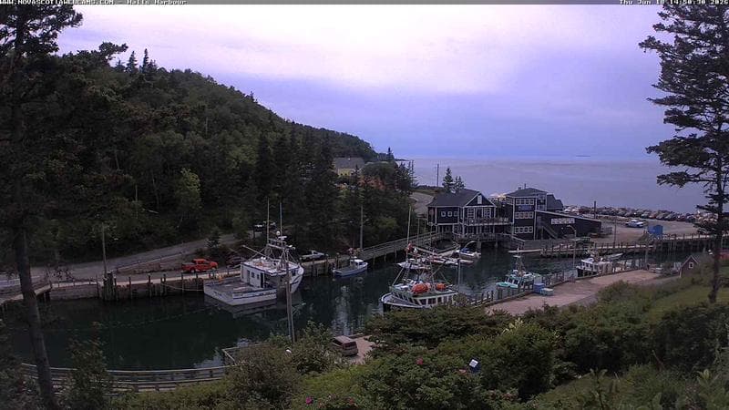 Hall's Harbour