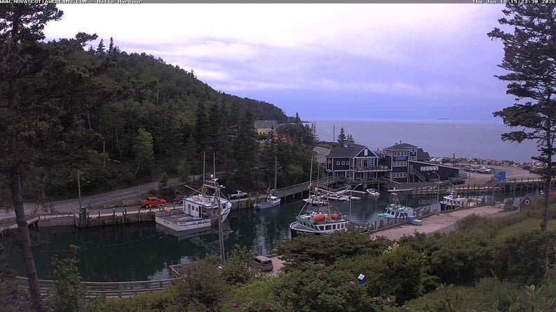 Hall's Harbour