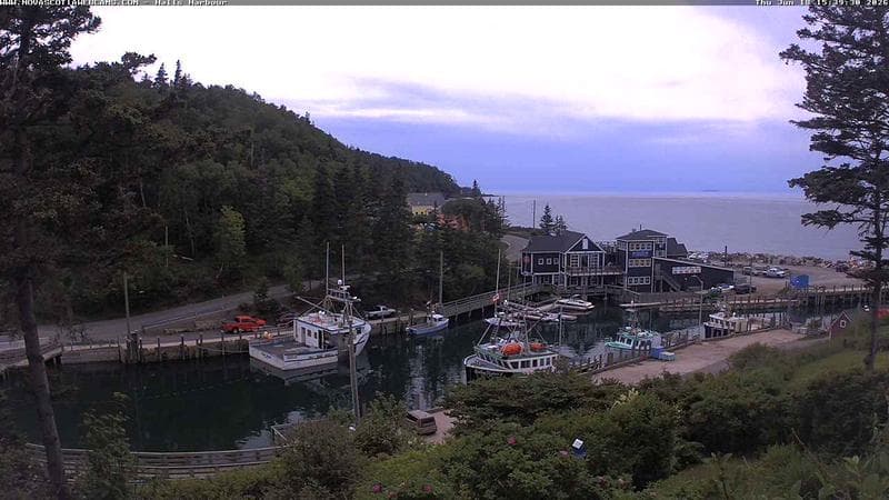 Hall's Harbour