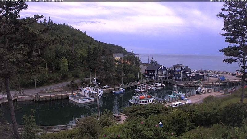 Hall's Harbour