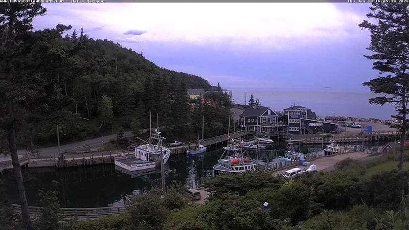 Hall's Harbour
