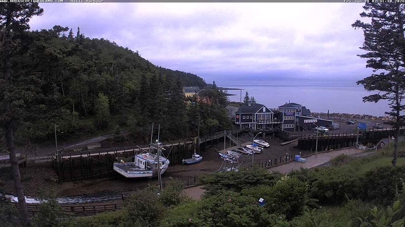 Hall's Harbour