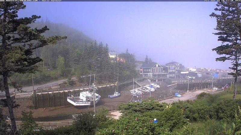 Hall's Harbour