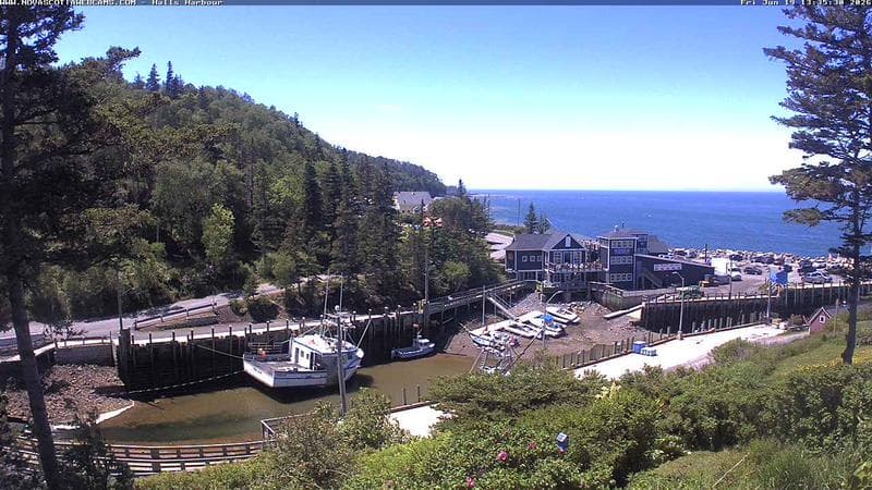 Hall's Harbour