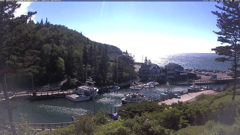 Hall's Harbour