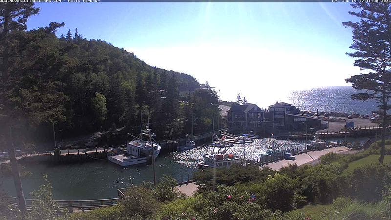 Hall's Harbour