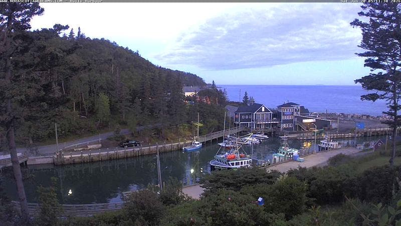 Hall's Harbour