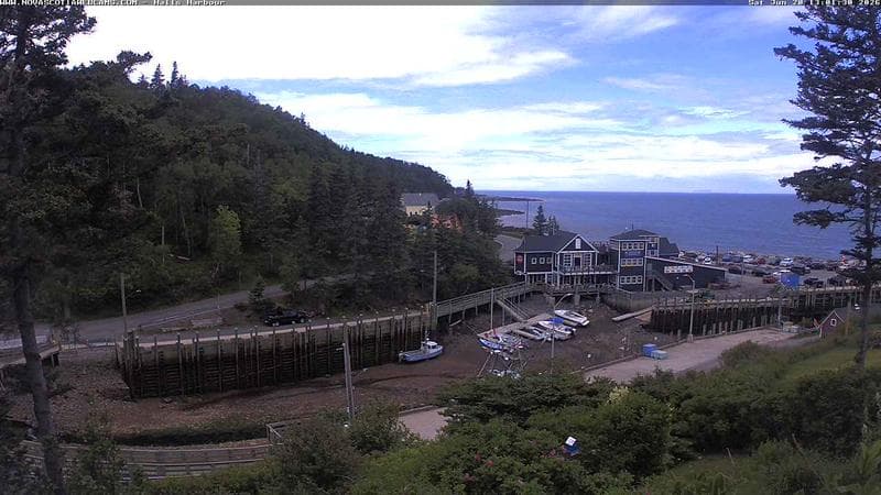 Hall's Harbour