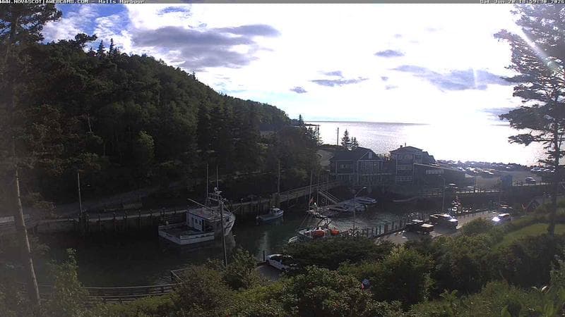 Hall's Harbour