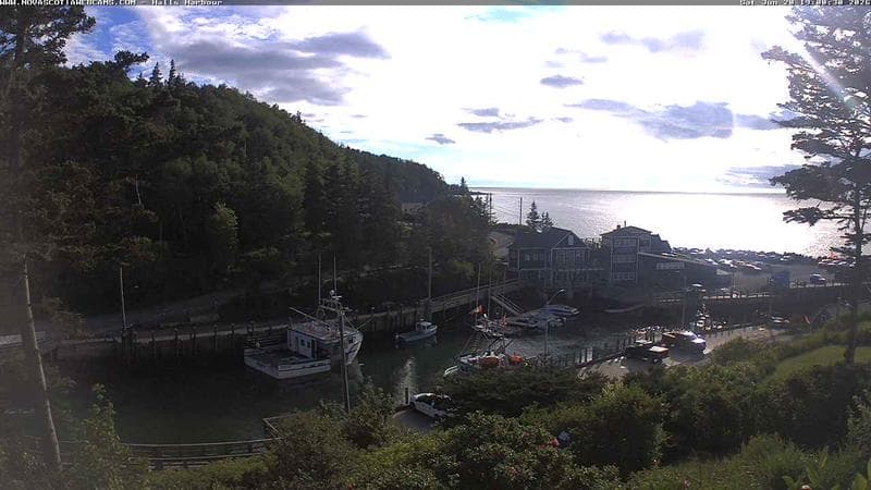 Hall's Harbour