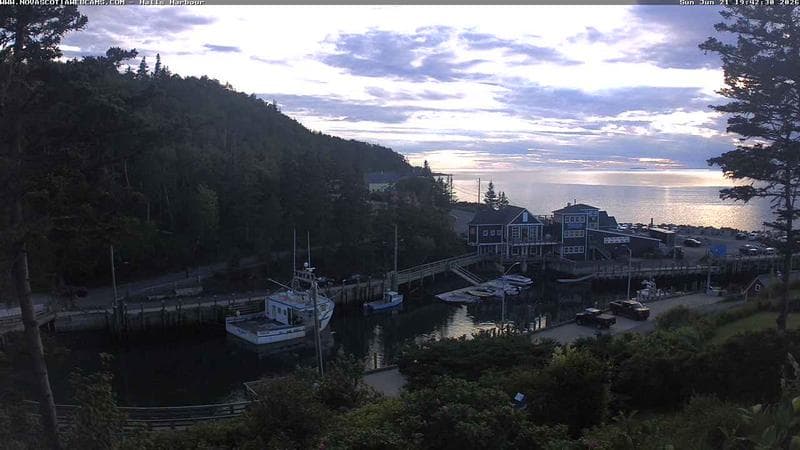 Hall's Harbour