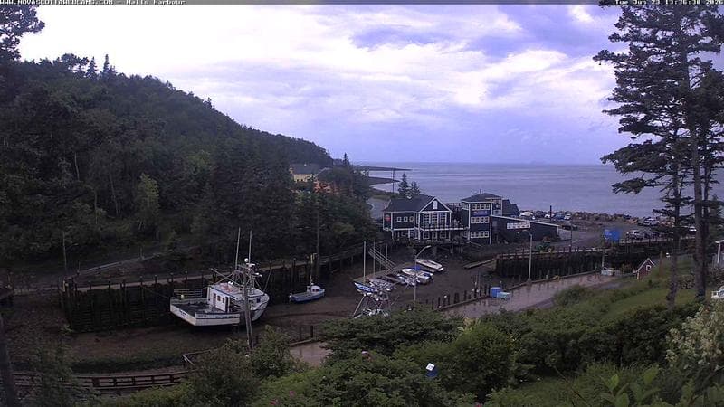 Hall's Harbour