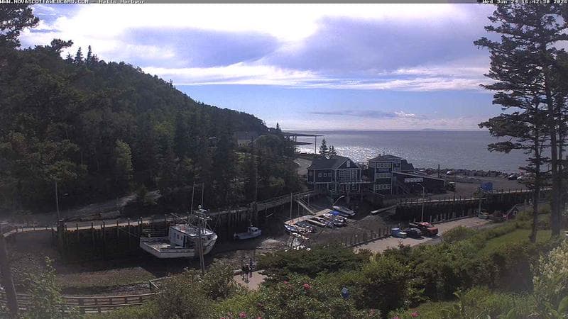 Hall's Harbour