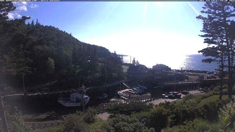 Hall's Harbour