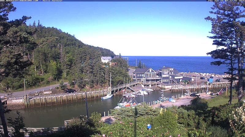 Hall's Harbour