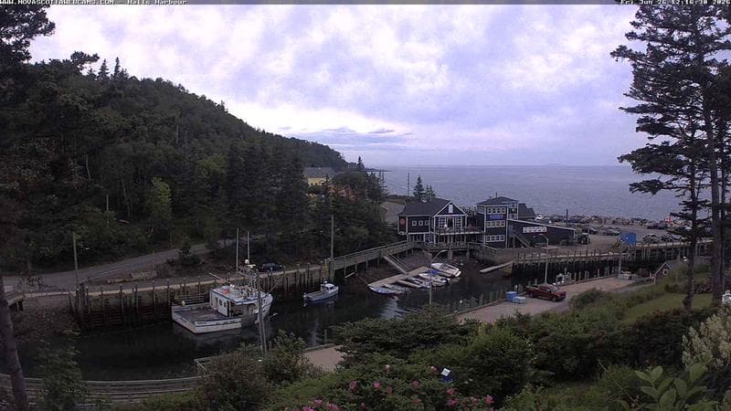 Hall's Harbour