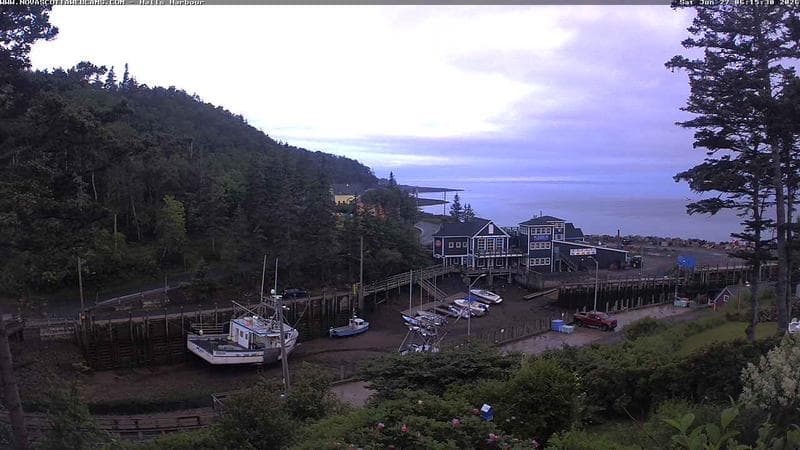 Hall's Harbour