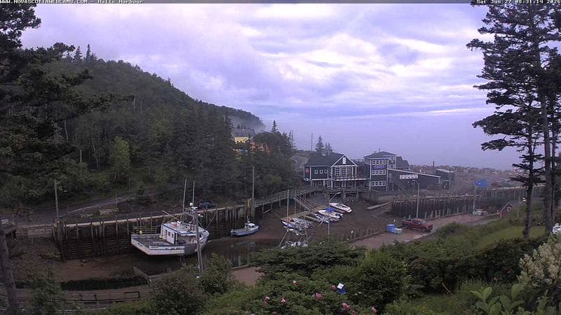Hall's Harbour