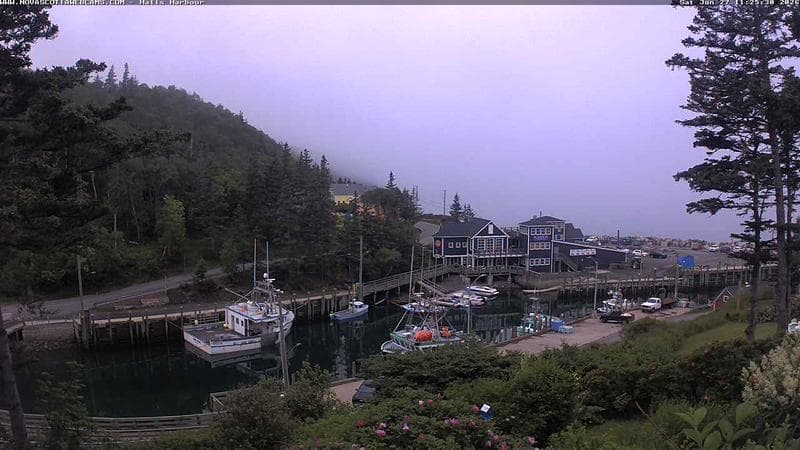 Hall's Harbour