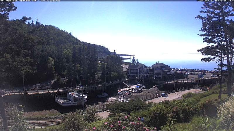 Hall's Harbour
