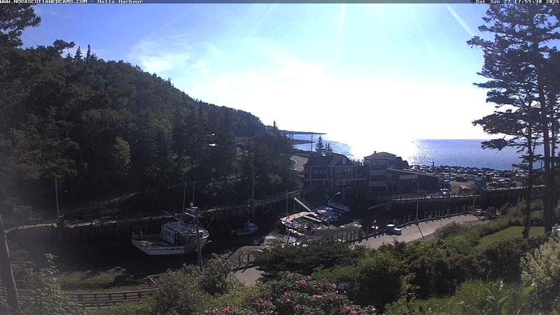 Hall's Harbour